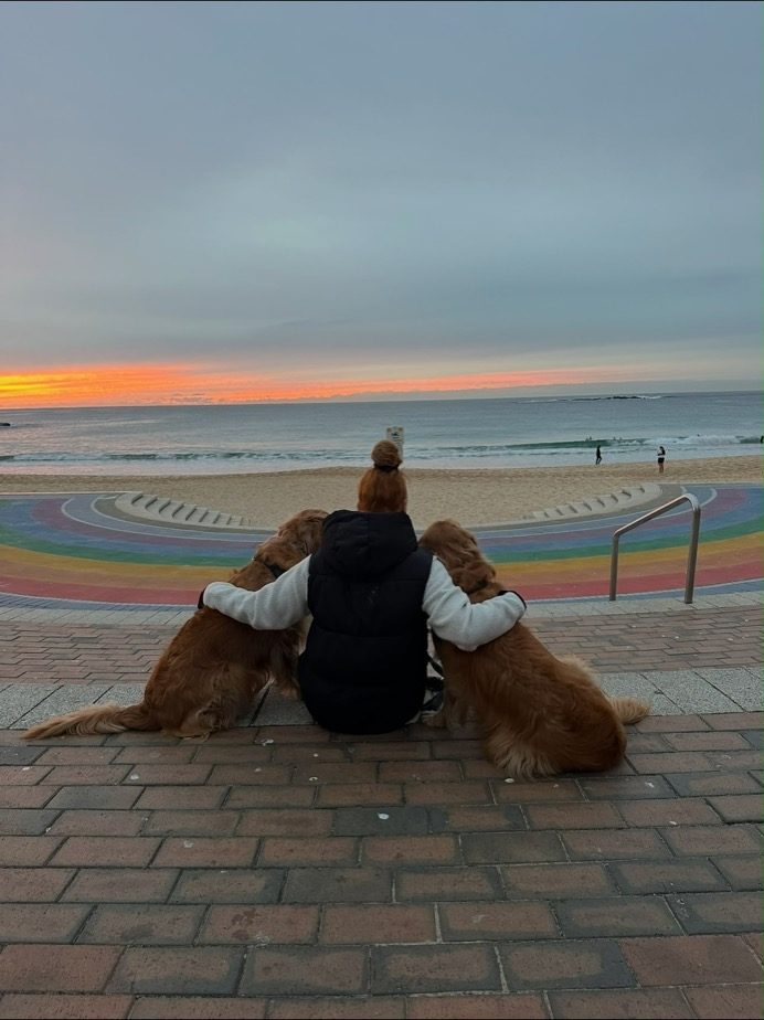 Nicole sitting with two golden retrievers watching the sunset at the beach